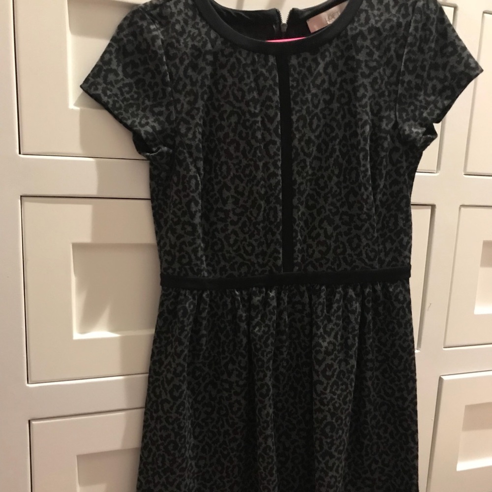 Loft leopard dress